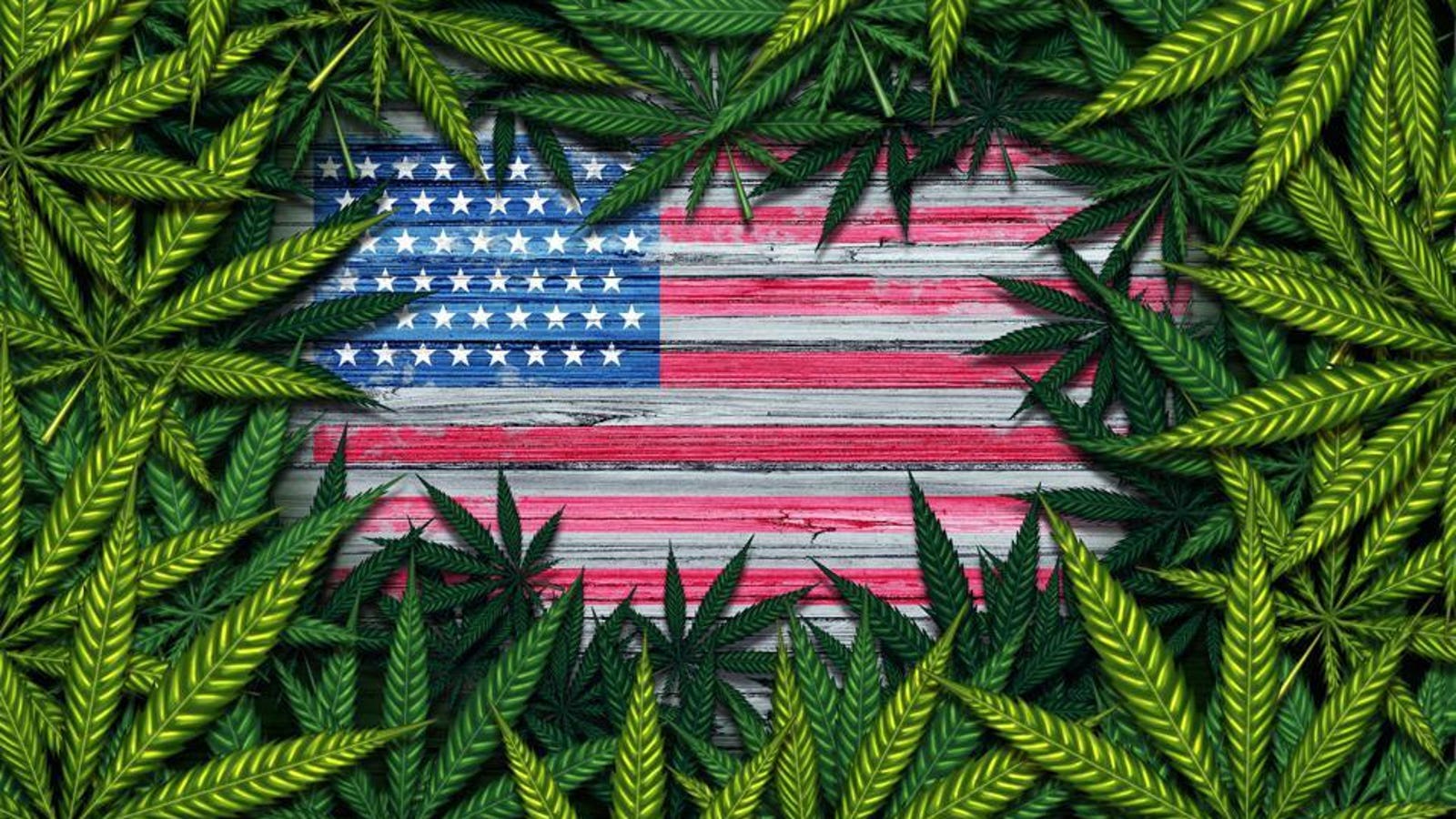 Cannabis Legal Status: Comprehensive Guide for All 50 States