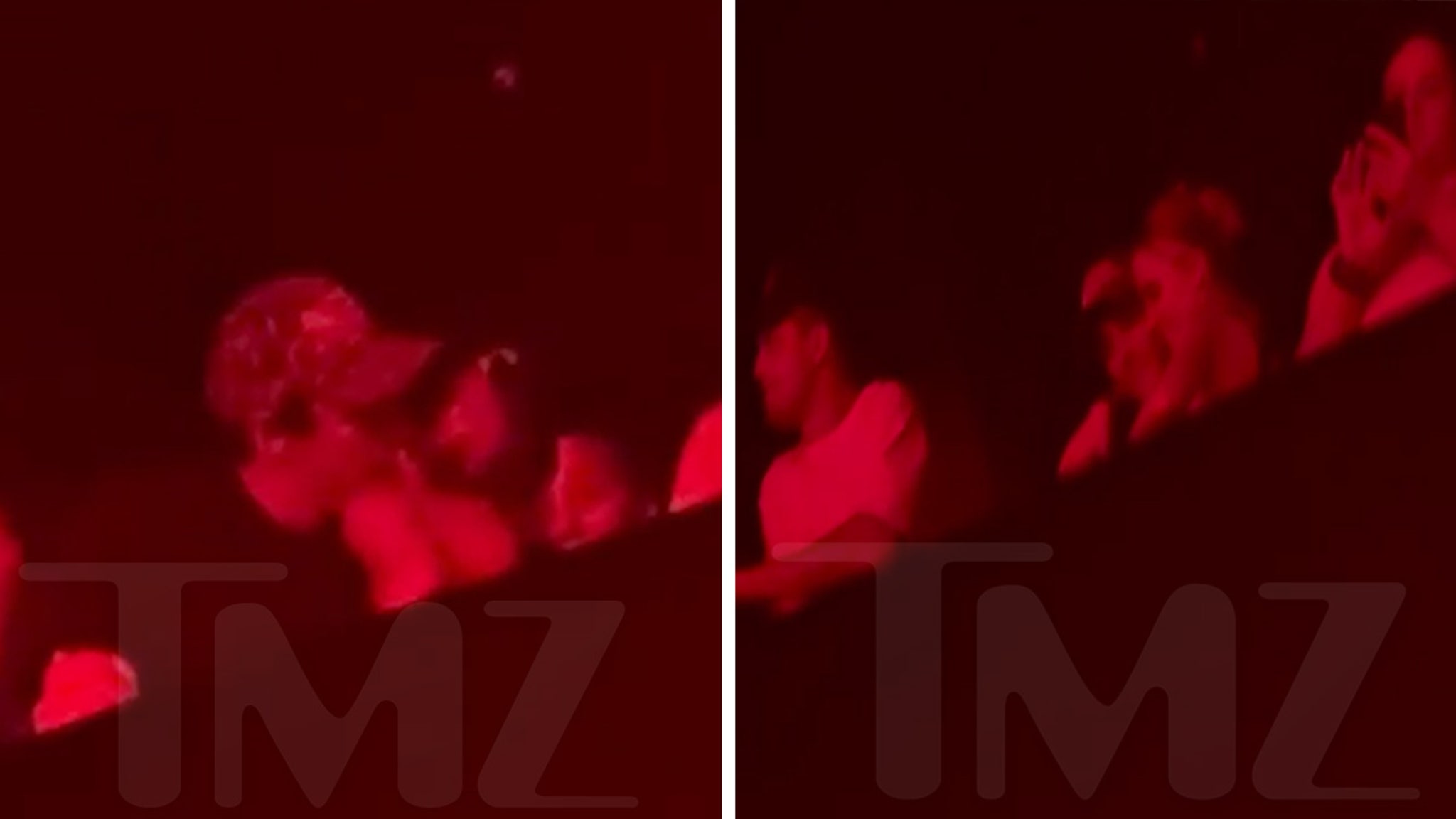 Dalton Gomez Spotted Kissing Maika Monroe at Concert