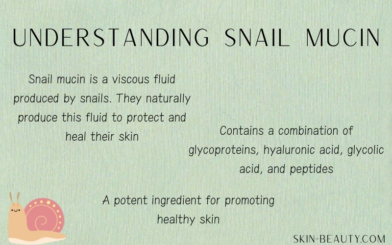 Key Benefits and Uses of Snail Mucin for Skin Care