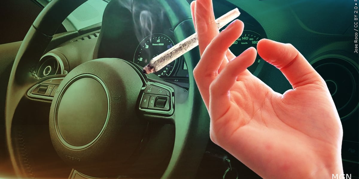 Minnesota Police Train for Roadside Cannabis Tests