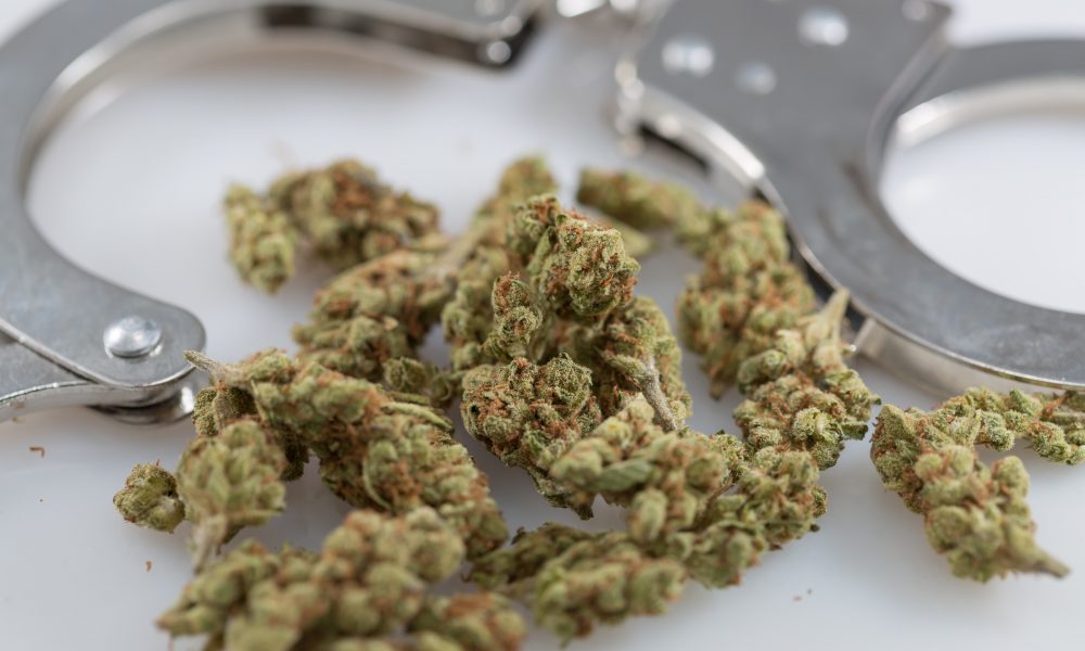 New Bill Prevents MO Police from Using Marijuana Odor in Searches