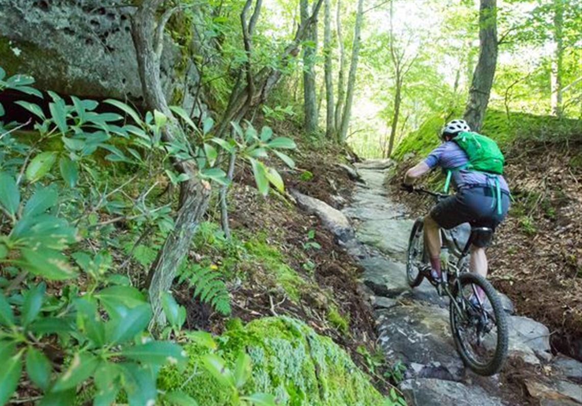 Jakes Rocks Trails in Allegheny National Forest Ranked as Pennsylvania’s Top Trail